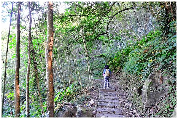 茶山屯阿巴娜步道 (9).JPG