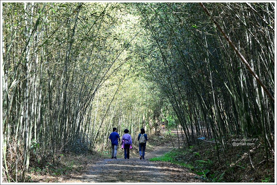 茶山屯阿巴娜步道 (14).jpg