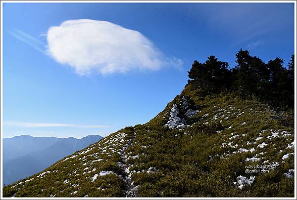 合歡山南峰主峰 (8).JPG