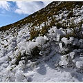 合歡山南峰主峰 (16).JPG