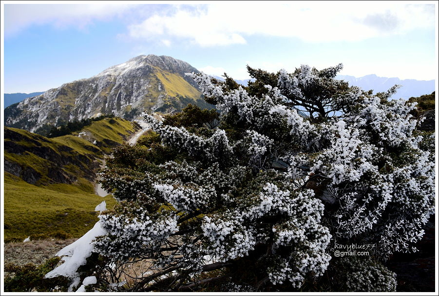 合歡山南峰主峰 (33).JPG