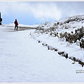 合歡山南峰主峰 (48).JPG