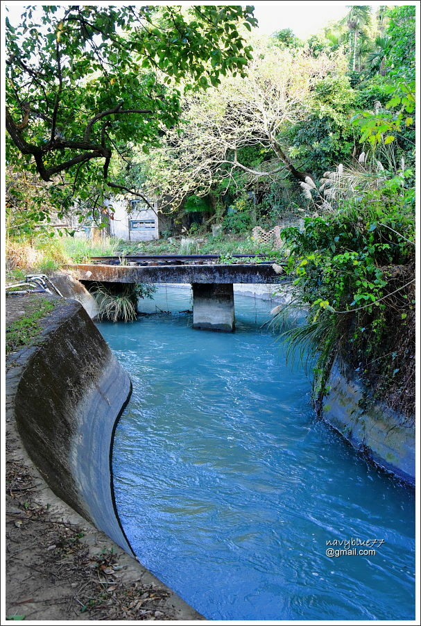 后里圳-舊8號隧道 (5).JPG