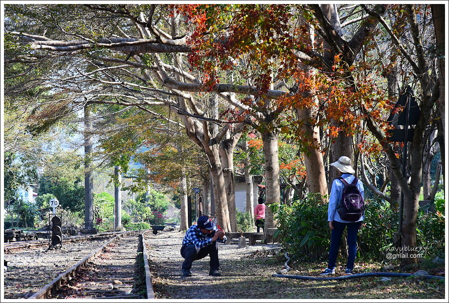 泰安登山步道-隘勇古道 (5).JPG