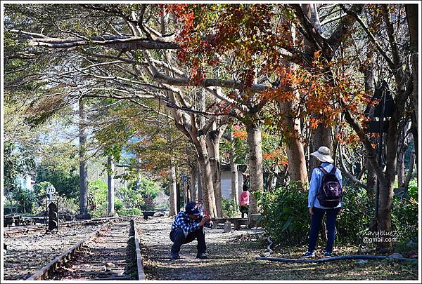 泰安登山步道-隘勇古道 (5).JPG