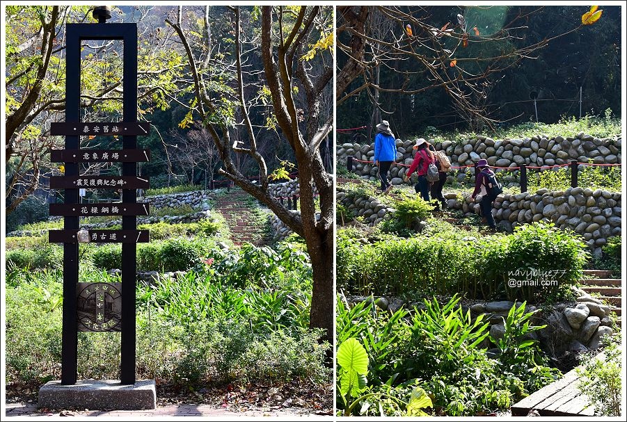 泰安登山步道-隘勇古道 (7).JPG