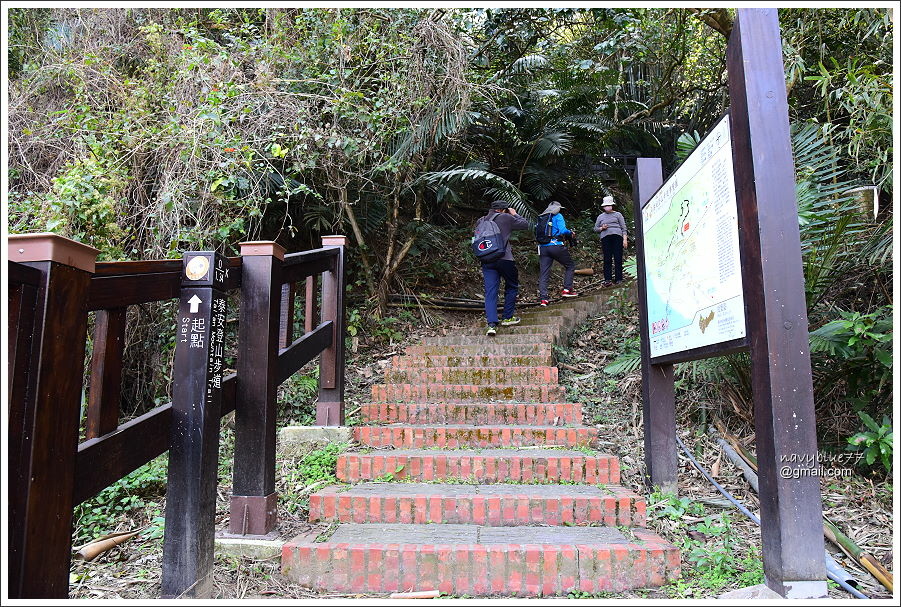 泰安登山步道-隘勇古道 (9).JPG
