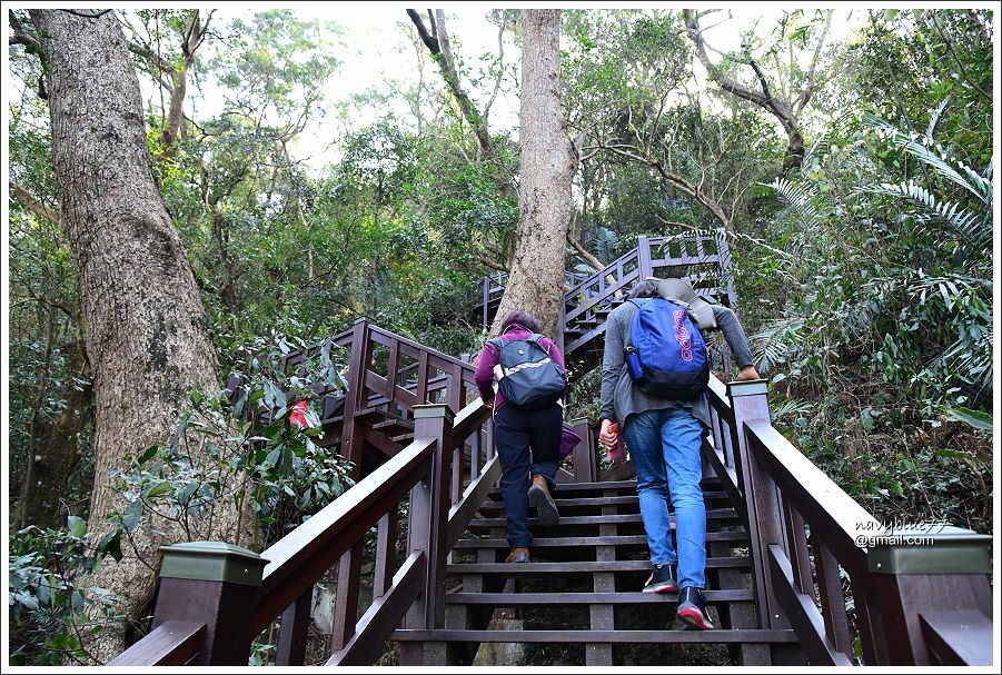 泰安登山步道-隘勇古道 (10).JPG