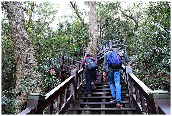 泰安登山步道-隘勇古道 (10).JPG