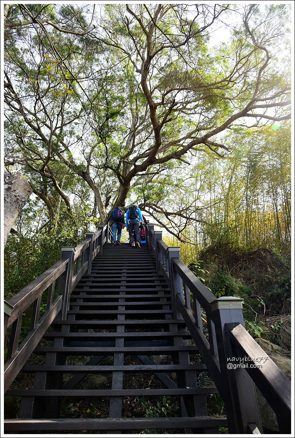 泰安登山步道-隘勇古道 (12).JPG