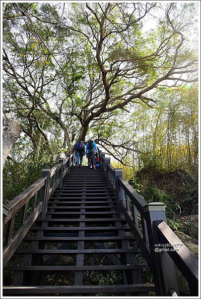 泰安登山步道-隘勇古道 (12).JPG