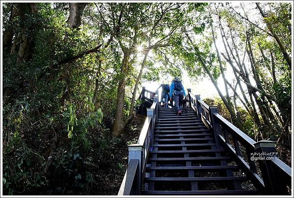 泰安登山步道-隘勇古道 (11).JPG