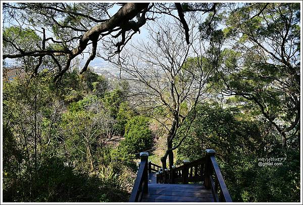 泰安登山步道-隘勇古道 (13).JPG