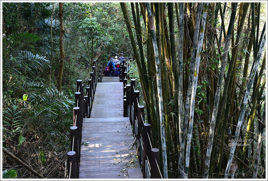 泰安登山步道-隘勇古道 (17).JPG