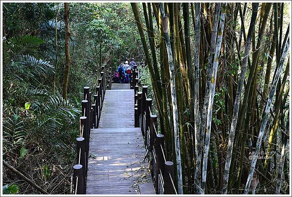 泰安登山步道-隘勇古道 (17).JPG