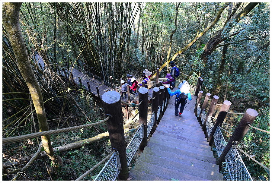 泰安登山步道-隘勇古道 (16).JPG