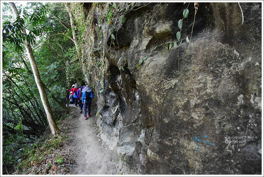 泰安登山步道-隘勇古道 (19).JPG