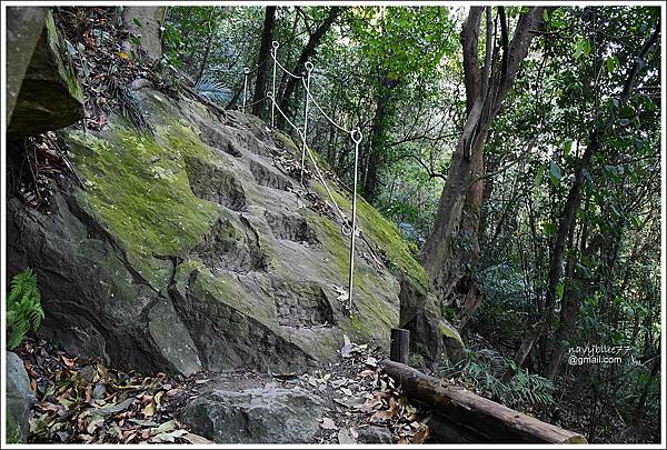 泰安登山步道-隘勇古道 (18).JPG