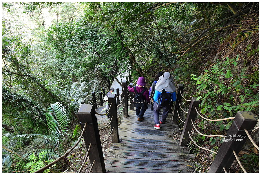 泰安登山步道-隘勇古道 (20).JPG