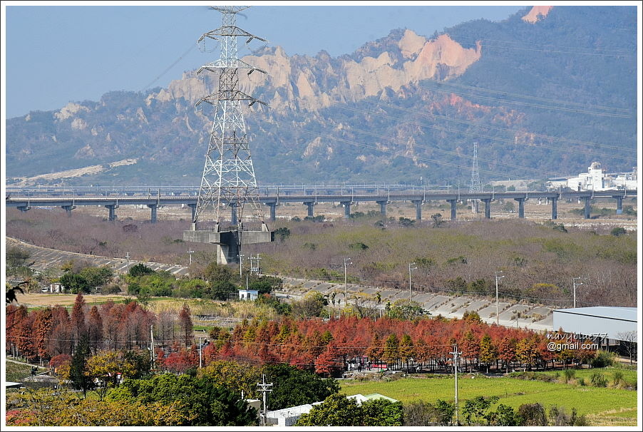 泰安登山步道-隘勇古道 (21).JPG