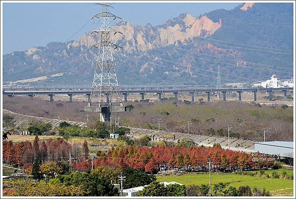 泰安登山步道-隘勇古道 (21).JPG