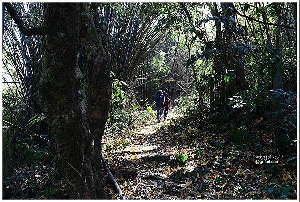 泰安登山步道-隘勇古道 (26).JPG