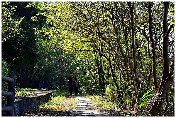 泰安登山步道-隘勇古道 (32).JPG