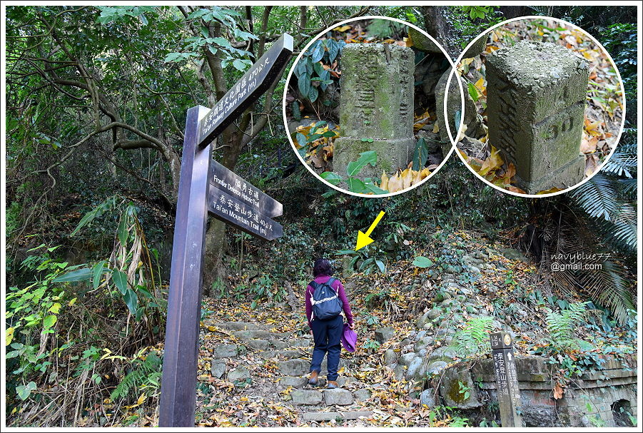 泰安登山步道-隘勇古道 (31).JPG