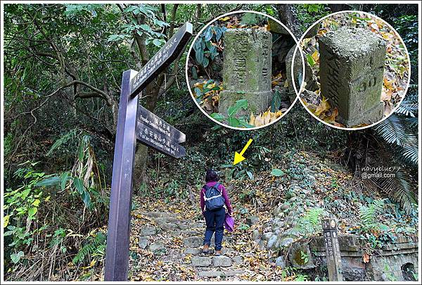 泰安登山步道-隘勇古道 (31).JPG