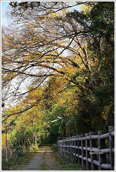 泰安登山步道-隘勇古道 (33).JPG