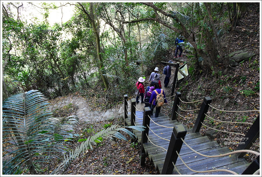 泰安登山步道-隘勇古道 (37).JPG