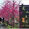 鶯山民宿賞櫻 (10).JPG