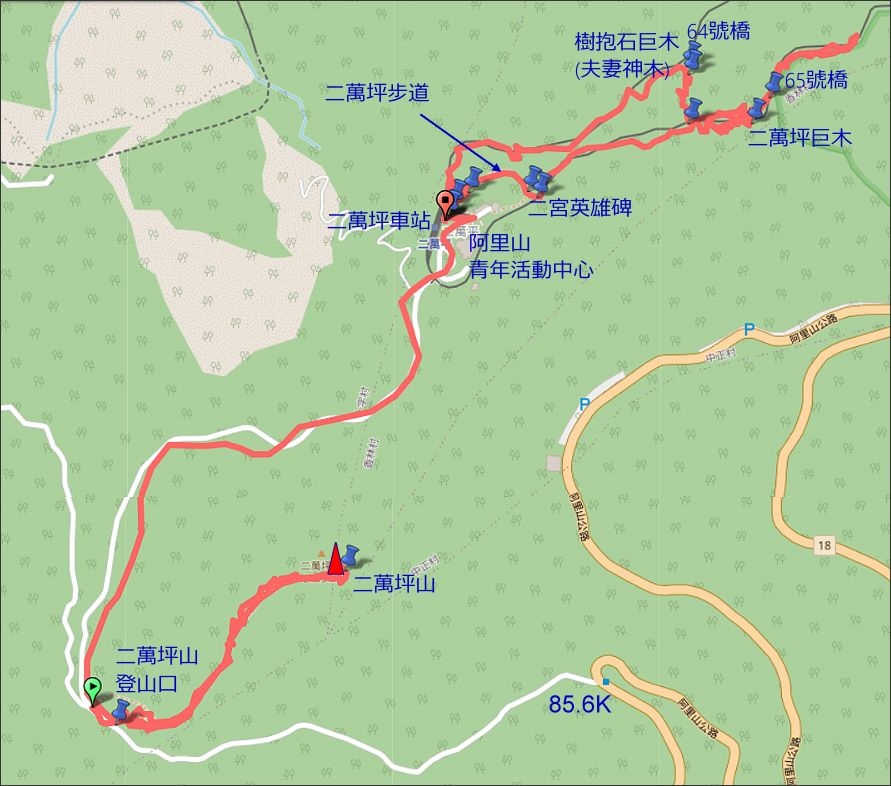 二萬坪山-樹抱石巨木 (42).jpg