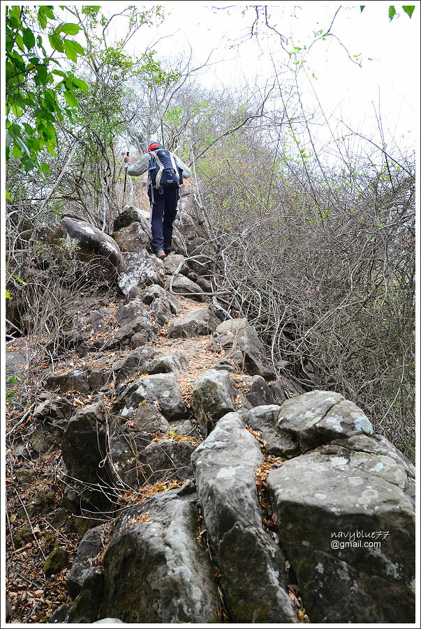 露月縱走克孝峰 (21).JPG