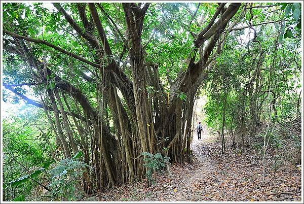 露月縱走克孝峰 (43).JPG