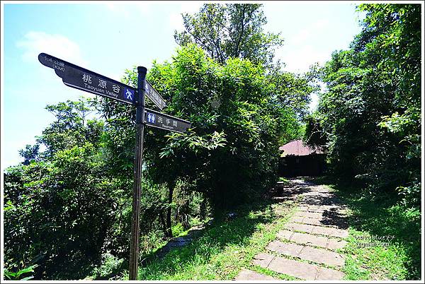 大溪-桃源谷-草嶺古道 (15).JPG