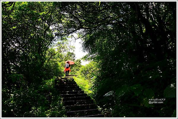 大溪-桃源谷-草嶺古道 (18).JPG