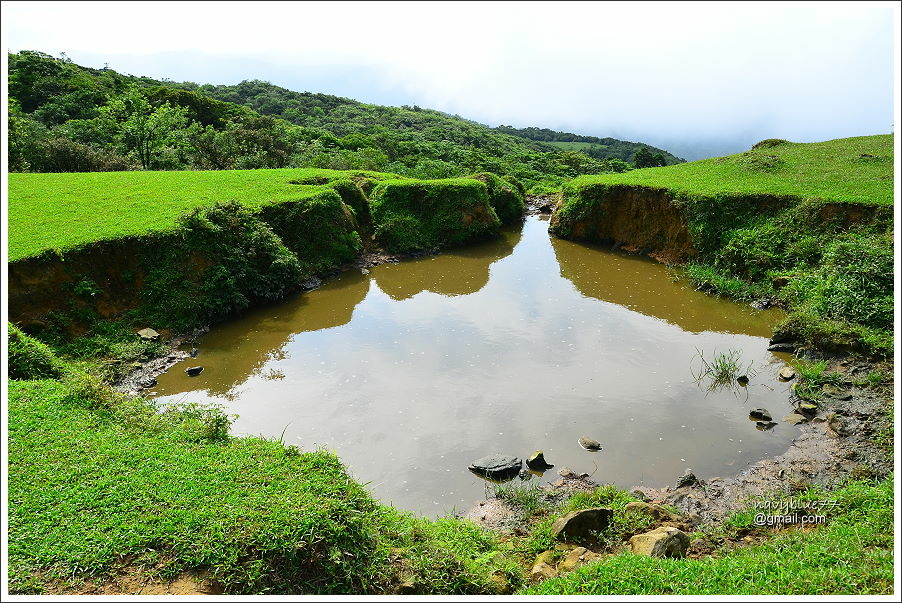 大溪-桃源谷-草嶺古道 (61).JPG