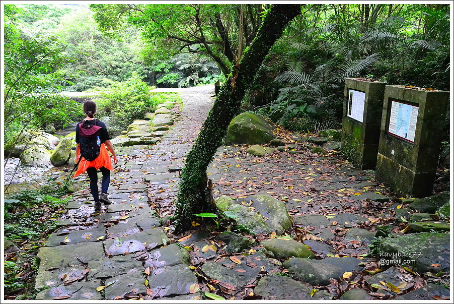 大溪-桃源谷-草嶺古道 (80).JPG