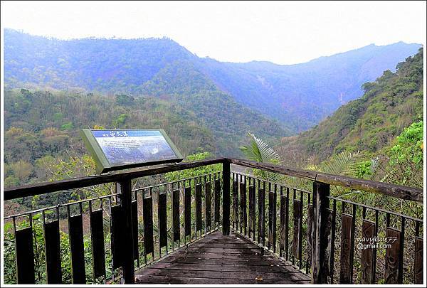 新美香樟林步道 (28).JPG