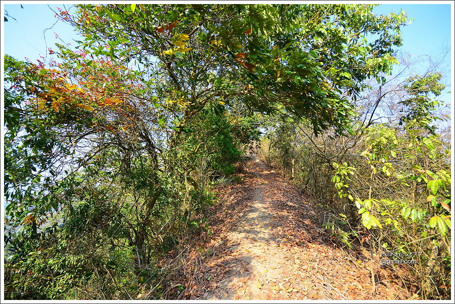 龍湖-烏山步道 (12).JPG