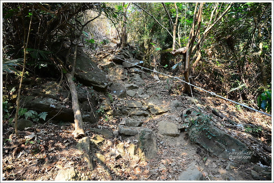 龍湖-烏山步道 (18).JPG