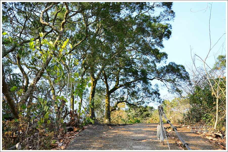 龍湖-烏山步道 (22).JPG