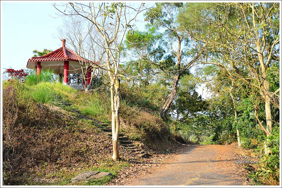 龍湖-烏山步道 (35).JPG