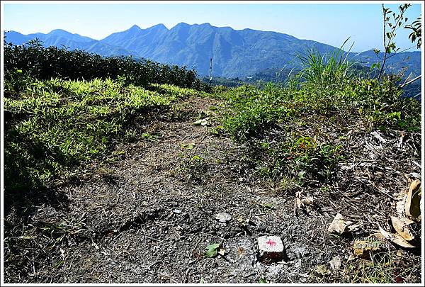 五峰山步道 (2).JPG