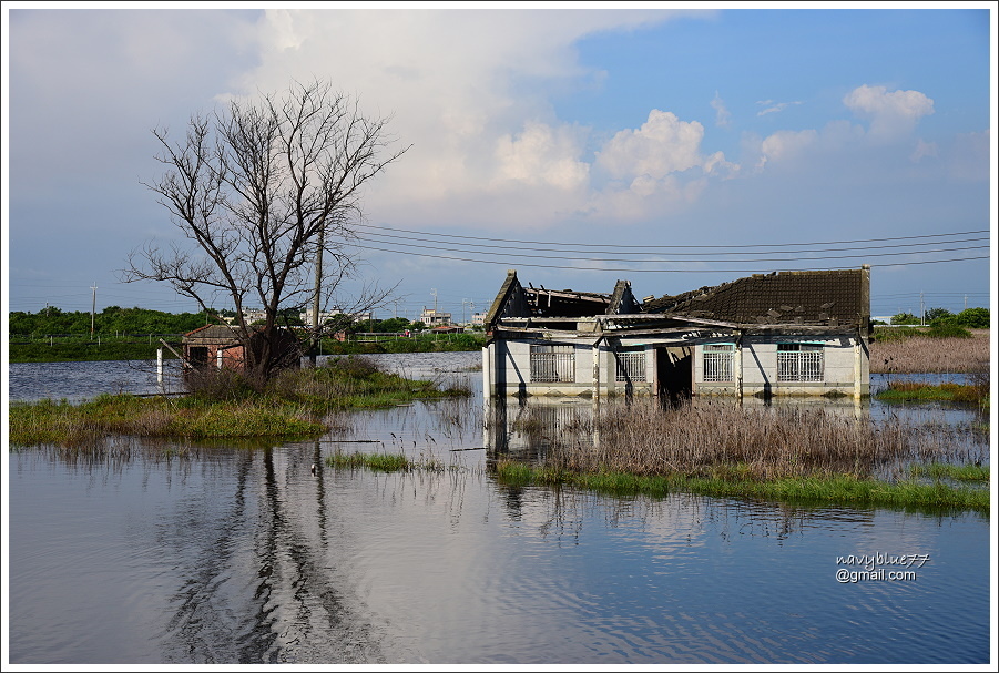 白水湖壽島1 (2).JPG