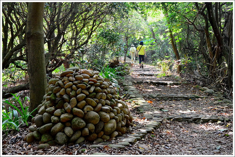 員林隴頂古道萬里長城步道 (13).JPG