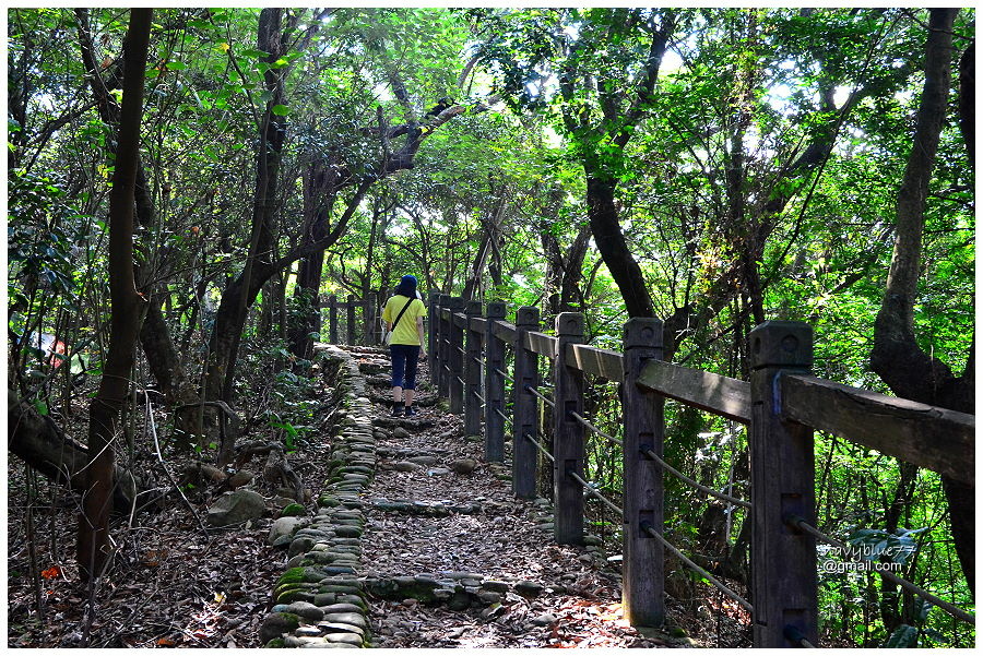 員林隴頂古道萬里長城步道 (14).JPG