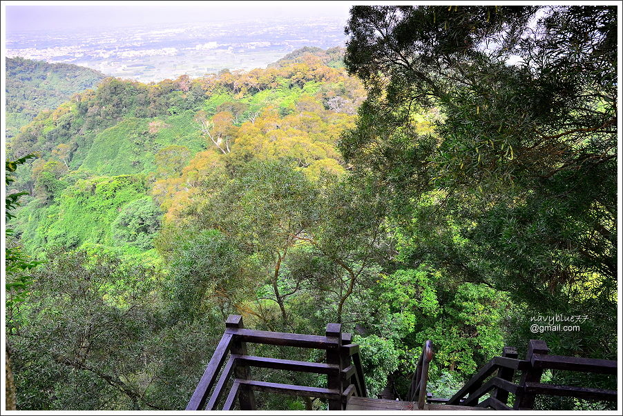 中央嶺十八彎古道 (11).JPG