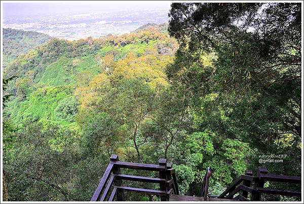 中央嶺十八彎古道 (11).JPG